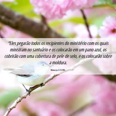 Picture 06 - Números 4:12 BSL - “Eles pegarão todos os recipientes do - Bible Verse Picture