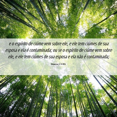 Picture 06 - Números 5:14 BSL - e o espírito de ciúme vem sobre ele, e ele tem - Bible Verse Picture