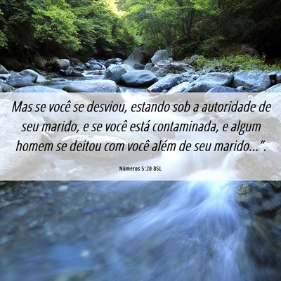 Picture 06 - Números 5:20 BSL - Mas se você se desviou, estando sob a autoridade - Bible Verse Picture