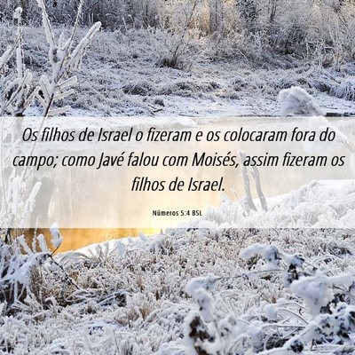 Picture 06 - Números 5:4 BSL - Os filhos de Israel o fizeram e os colocaram fora - Bible Verse Picture