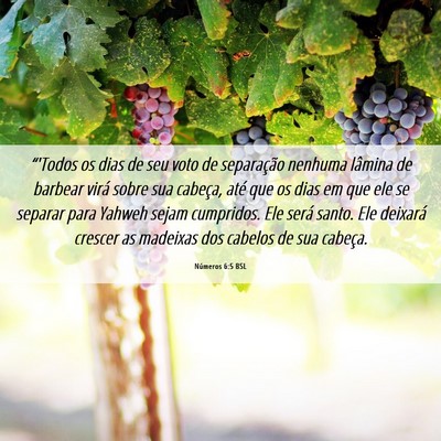 Picture 06 - Números 6:5 BSL - “'Todos os dias de seu voto de separação - Bible Verse Picture