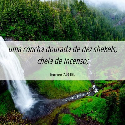 Picture 06 - Números 7:20 BSL - uma concha dourada de dez shekels, cheia de - Bible Verse Picture