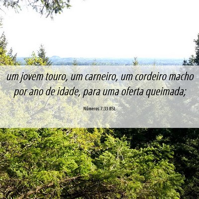 Picture 06 - Números 7:33 BSL - um jovem touro, um carneiro, um cordeiro macho - Bible Verse Picture