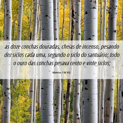 Picture 06 - Números 7:86 BSL - as doze conchas douradas, cheias de incenso, - Bible Verse Picture