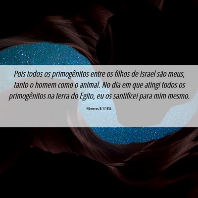 Picture 06 - Números 8:17 BSL - Pois todos os primogênitos entre os filhos de - Bible Verse Picture