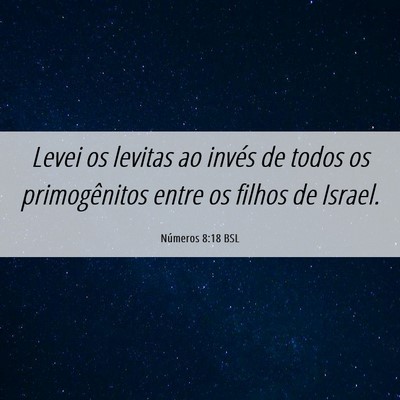 Picture 06 - Números 8:18 BSL - Levei os levitas ao invés de todos os - Bible Verse Picture