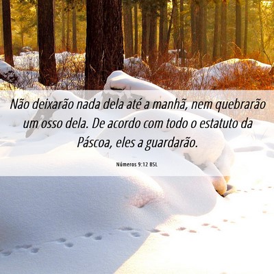 Picture 06 - Números 9:12 BSL - Não deixarão nada dela até a manhã, nem - Bible Verse Picture