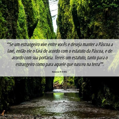 Picture 06 - Números 9:14 BSL - “'Se um estrangeiro vive entre vocês e deseja - Bible Verse Picture