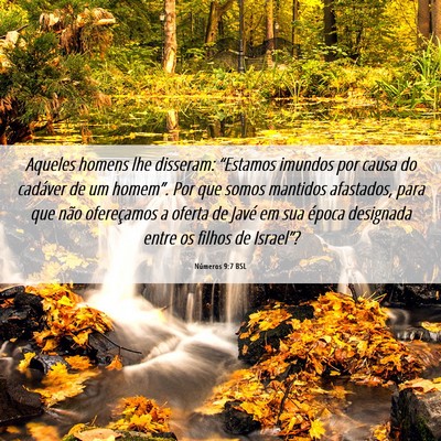 Picture 06 - Números 9:7 BSL - Aqueles homens lhe disseram: “Estamos imundos - Bible Verse Picture