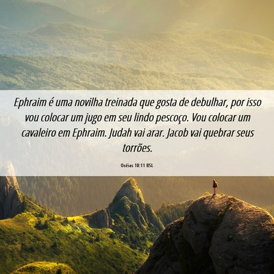 Picture 06 - Oséias 10:11 BSL - Ephraim é uma novilha treinada que gosta de - Bible Verse Picture
