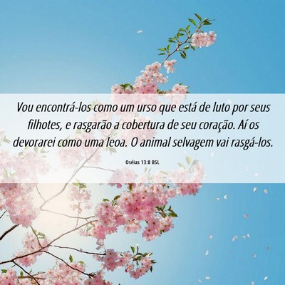 Picture 06 - Oséias 13:8 BSL - Vou encontrá-los como um urso que está de luto - Bible Verse Picture