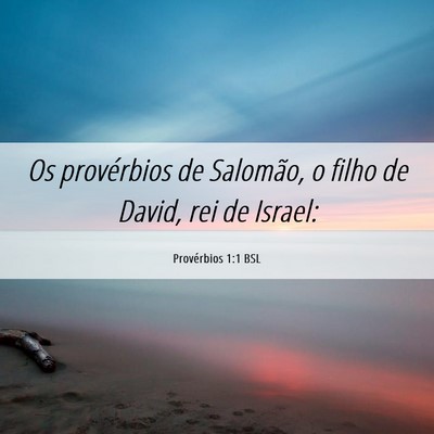 Picture 06 - Provérbios 1:1 BSL - Os provérbios de Salomão, o filho de David, rei - Bible Verse Picture