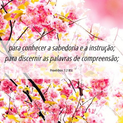 Picture 06 - Provérbios 1:2 BSL - para conhecer a sabedoria e a instrução; para - Bible Verse Picture