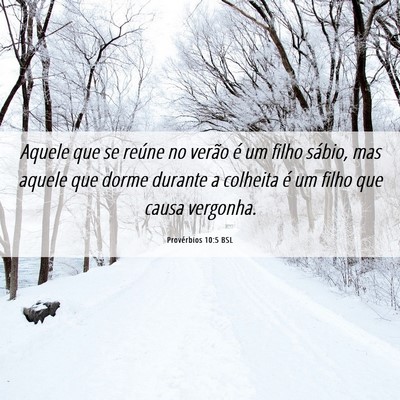 Picture 06 - Provérbios 10:5 BSL - Aquele que se reúne no verão é um filho - Bible Verse Picture