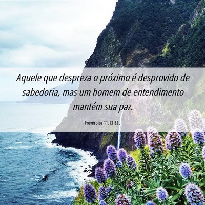 Picture 06 - Provérbios 11:12 BSL - Aquele que despreza o próximo é desprovido de - Bible Verse Picture