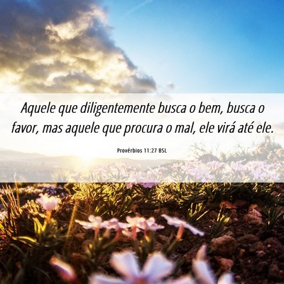 Picture 06 - Provérbios 11:27 BSL - Aquele que diligentemente busca o bem, busca o - Bible Verse Picture