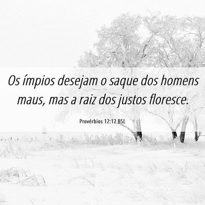 Picture 06 - Provérbios 12:12 BSL - Os ímpios desejam o saque dos homens maus, mas a - Bible Verse Picture