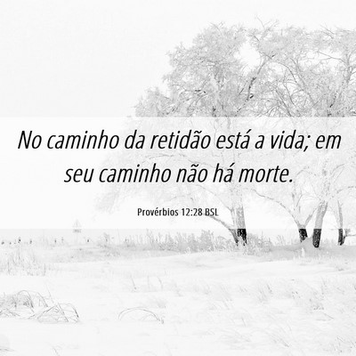 Picture 06 - Provérbios 12:28 BSL - No caminho da retidão está a vida; em seu - Bible Verse Picture