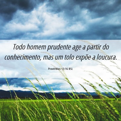 Picture 06 - Provérbios 13:16 BSL - Todo homem prudente age a partir do conhecimento, - Bible Verse Picture