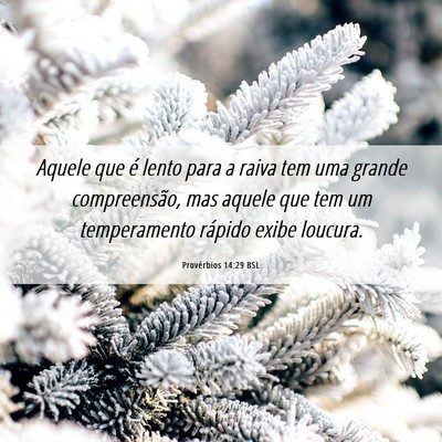 Picture 06 - Provérbios 14:29 BSL - Aquele que é lento para a raiva tem uma grande - Bible Verse Picture