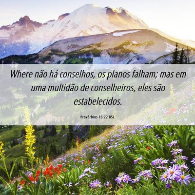 Picture 06 - Provérbios 15:22 BSL - Where não há conselhos, os planos falham; mas - Bible Verse Picture