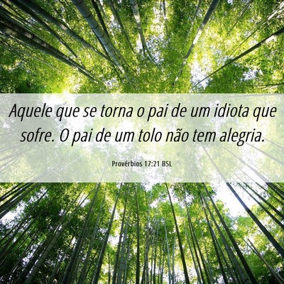 Picture 06 - Provérbios 17:21 BSL - Aquele que se torna o pai de um idiota que sofre. - Bible Verse Picture