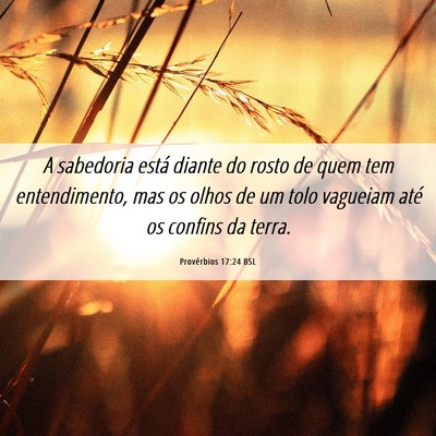 Picture 06 - Provérbios 17:24 BSL - A sabedoria está diante do rosto de quem tem - Bible Verse Picture