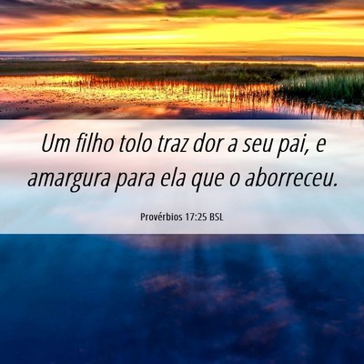 Picture 06 - Provérbios 17:25 BSL - Um filho tolo traz dor a seu pai, e amargura para - Bible Verse Picture