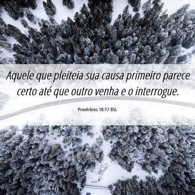 Picture 06 - Provérbios 18:17 BSL - Aquele que pleiteia sua causa primeiro parece - Bible Verse Picture