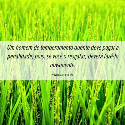 Picture 06 - Provérbios 19:19 BSL - Um homem de temperamento quente deve pagar a - Bible Verse Picture