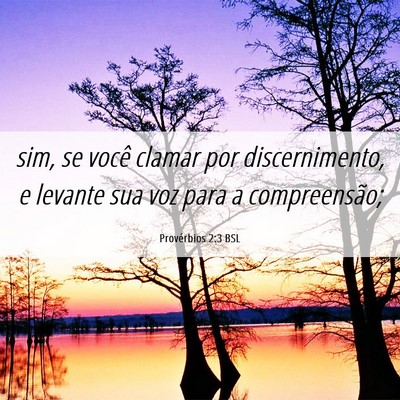 Picture 06 - Provérbios 2:3 BSL - sim, se você clamar por discernimento, e levante - Bible Verse Picture