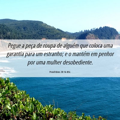 Picture 06 - Provérbios 20:16 BSL - Pegue a peça de roupa de alguém que coloca uma - Bible Verse Picture