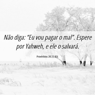 Picture 06 - Provérbios 20:22 BSL - Não diga: “Eu vou pagar o mal”. Espere por - Bible Verse Picture