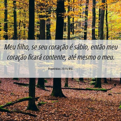 Picture 06 - Provérbios 23:15 BSL - Meu filho, se seu coração é sábio, então meu - Bible Verse Picture