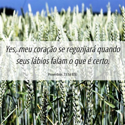 Picture 06 - Provérbios 23:16 BSL - Yes, meu coração se regozijará quando seus - Bible Verse Picture