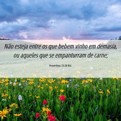 Picture 06 - Provérbios 23:20 BSL - Não esteja entre os que bebem vinho em demasia, - Bible Verse Picture