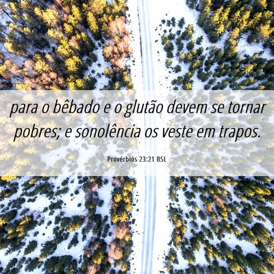 Picture 06 - Provérbios 23:21 BSL - para o bêbado e o glutão devem se tornar - Bible Verse Picture