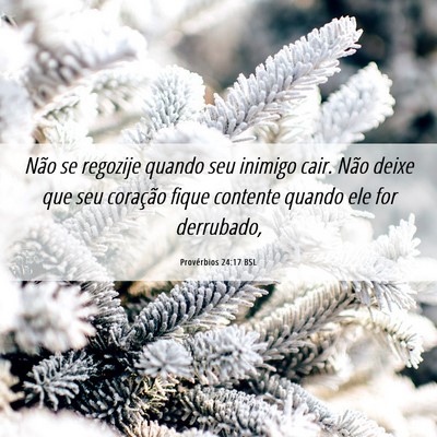 Picture 06 - Provérbios 24:17 BSL - Não se regozije quando seu inimigo cair. Não - Bible Verse Picture