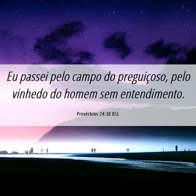 Picture 06 - Provérbios 24:30 BSL - Eu passei pelo campo do preguiçoso, pelo vinhedo - Bible Verse Picture