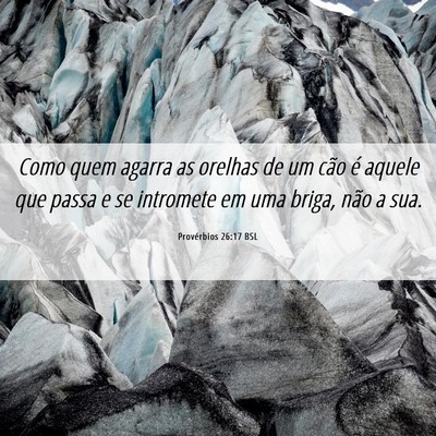 Picture 06 - Provérbios 26:17 BSL - Como quem agarra as orelhas de um cão é aquele - Bible Verse Picture