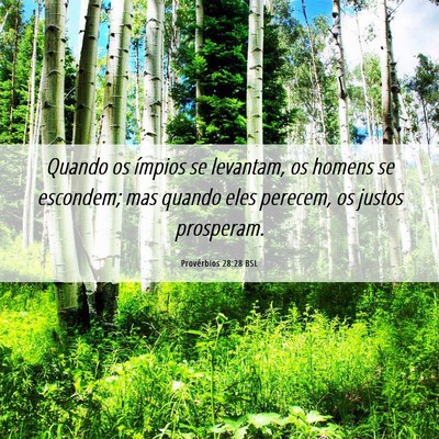 Picture 06 - Provérbios 28:28 BSL - Quando os ímpios se levantam, os homens se - Bible Verse Picture