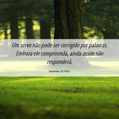 Picture 06 - Provérbios 29:19 BSL - Um servo não pode ser corrigido por palavras. - Bible Verse Picture