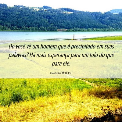 Picture 06 - Provérbios 29:20 BSL - Do você vê um homem que é precipitado em suas - Bible Verse Picture