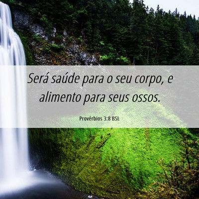 Picture 06 - Provérbios 3:8 BSL - Será saúde para o seu corpo, e alimento para - Bible Verse Picture