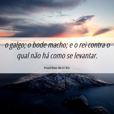 Picture 06 - Provérbios 30:31 BSL - o galgo; o bode macho; e o rei contra o qual não - Bible Verse Picture