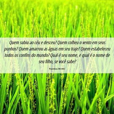 Picture 06 - Provérbios 30:4 BSL - Quem subiu ao céu e desceu? Quem colheu o vento - Bible Verse Picture