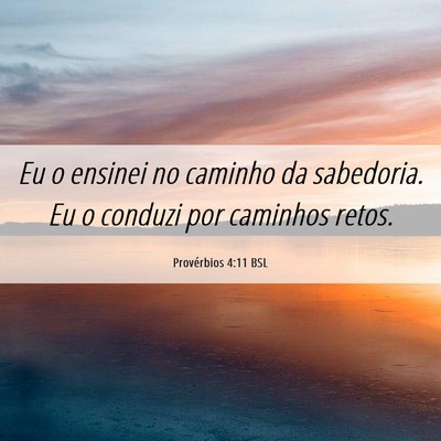 Picture 06 - Provérbios 4:11 BSL - Eu o ensinei no caminho da sabedoria. Eu o - Bible Verse Picture