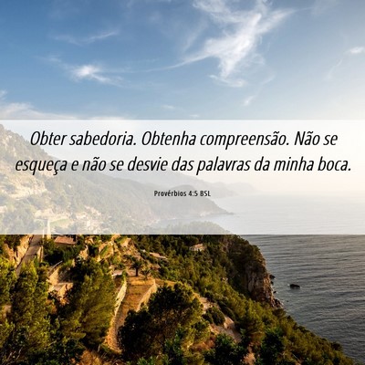 Picture 06 - Provérbios 4:5 BSL - Obter sabedoria. Obtenha compreensão. Não se - Bible Verse Picture