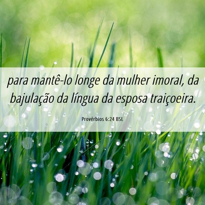 Picture 06 - Provérbios 6:24 BSL - para mantê-lo longe da mulher imoral, da - Bible Verse Picture