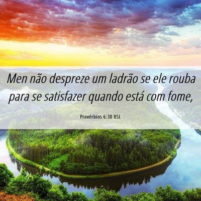 Picture 06 - Provérbios 6:30 BSL - Men não despreze um ladrão se ele rouba para se - Bible Verse Picture